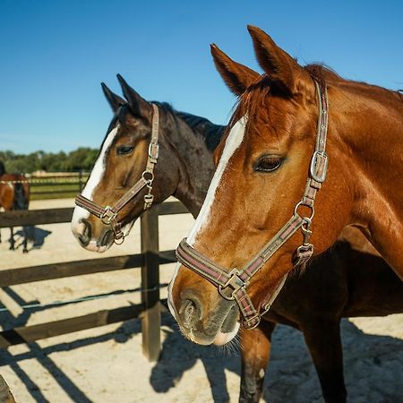 Вілла Vmg Horse Ranch (Adults Only) Льюкмайор Екстер'єр фото
