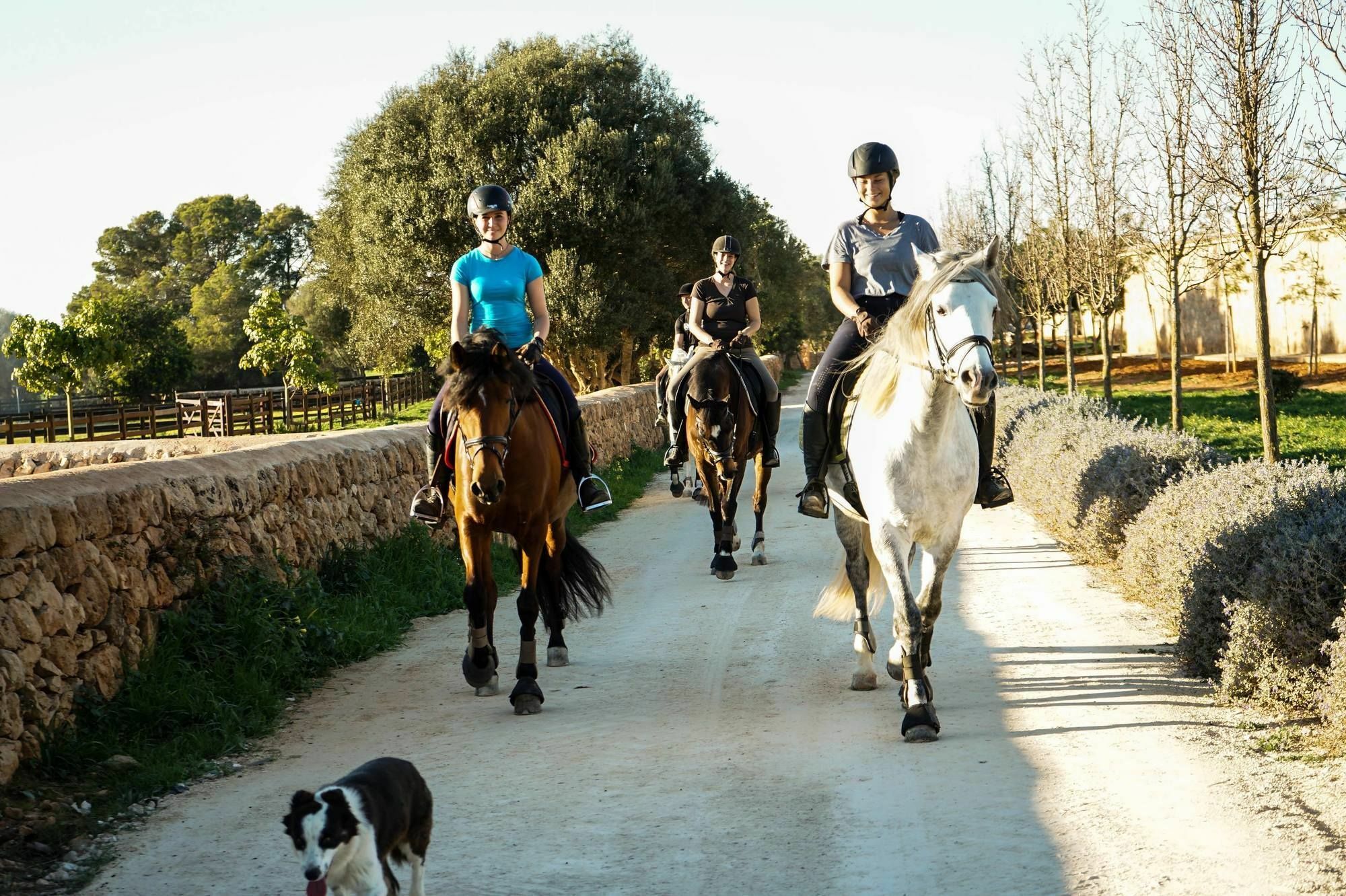 Вілла Vmg Horse Ranch (Adults Only) Льюкмайор Екстер'єр фото