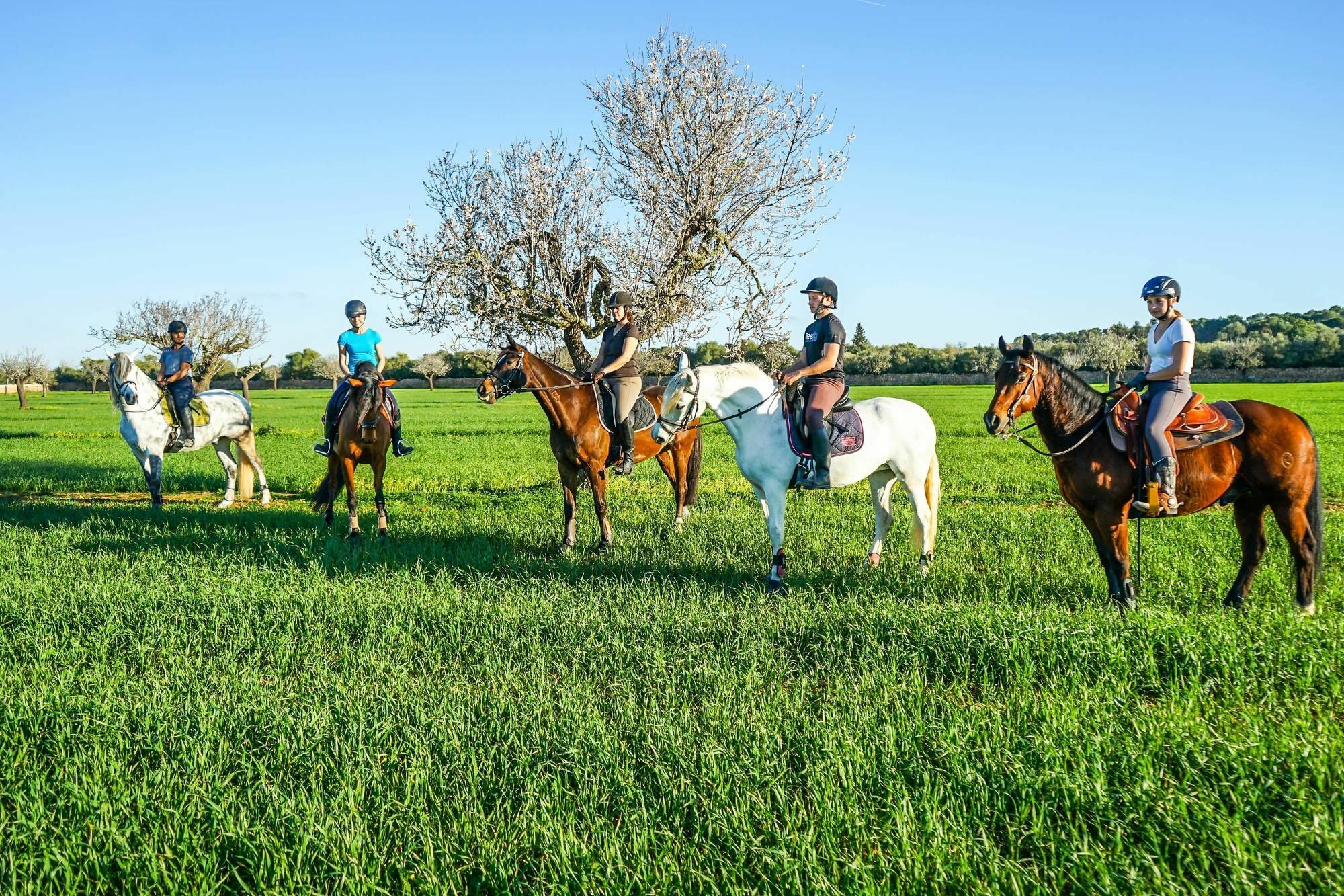 Вілла Vmg Horse Ranch (Adults Only) Льюкмайор Екстер'єр фото